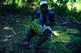 Archipel-des-Comores;-Artisanat;-France;-Homme;-Kaleidos;-Kaleidos-images;-La-parole-à-limage;-Laurent-Abad;-Mayotte;-Océan-Indien;-Palmes;-Portrait;-Sous-bois;-Stories-Pictures;-Tressage;-Vannerie